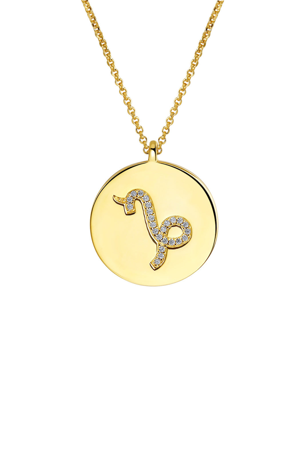 Gold Plated Silver Zodiac Necklace - Capricorn Side View